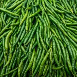 Fresh green chilli premium quality green chilli exporter from India for wholesale and export