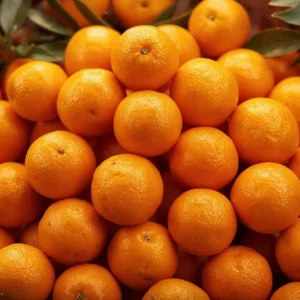 Fresh Oranges