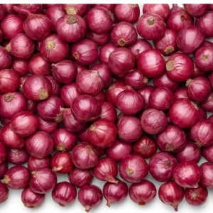 fresh onion premium quality onion exporter from India for wholesale and export